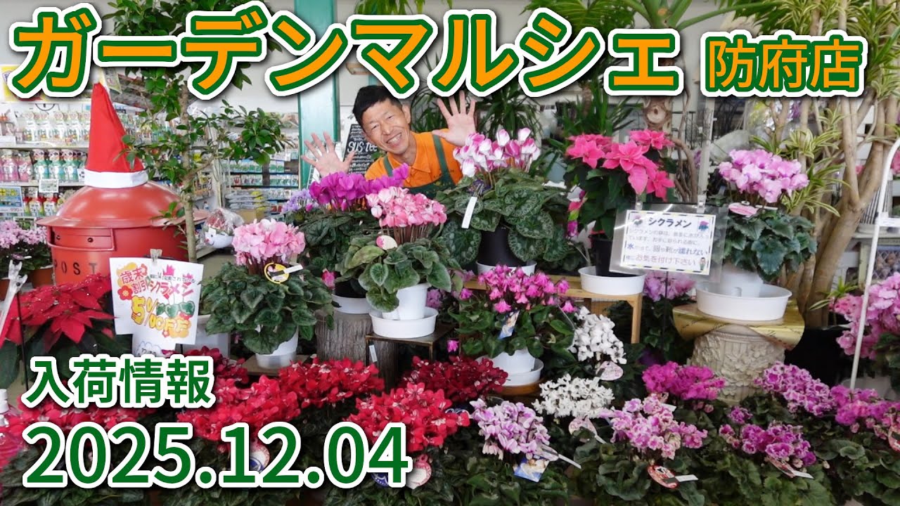 2025年12月4日 ガーデンマルシェ防府店 今週の入荷情報