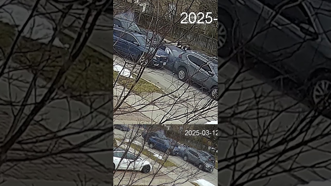 High-risk takedown of retail robbery suspects caught on camera