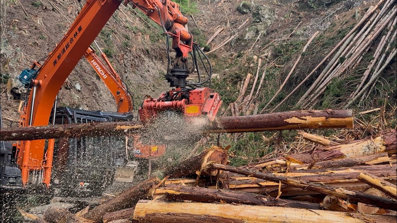 【林業】プロセッサーを使ってみた。#林業 #logging #forestry #宮崎