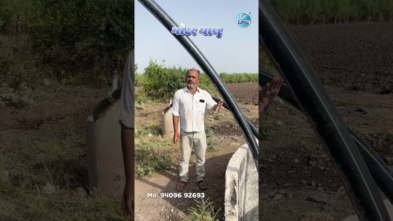 ow 15 Check Dams Changed an Entire Village's Future