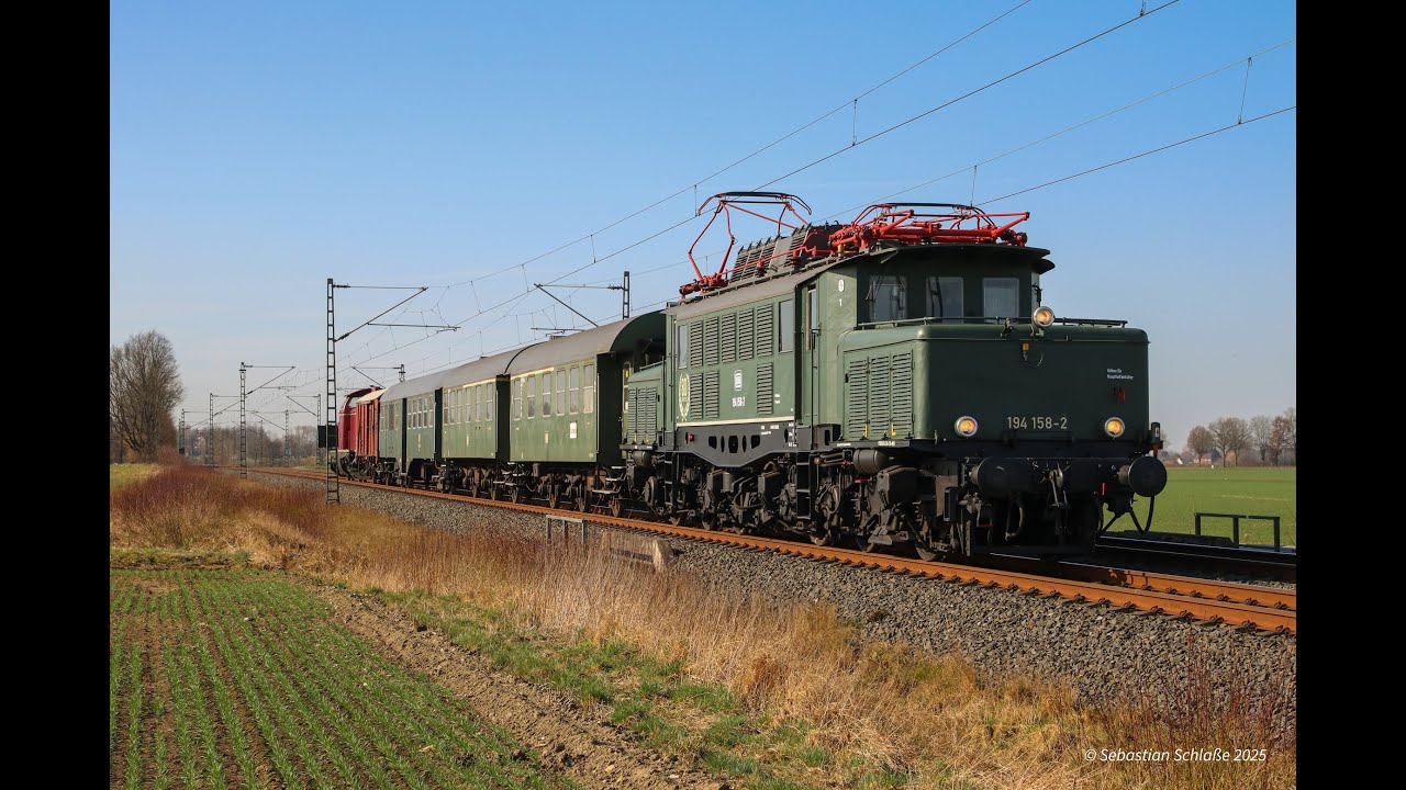 Sichtungen März 2025