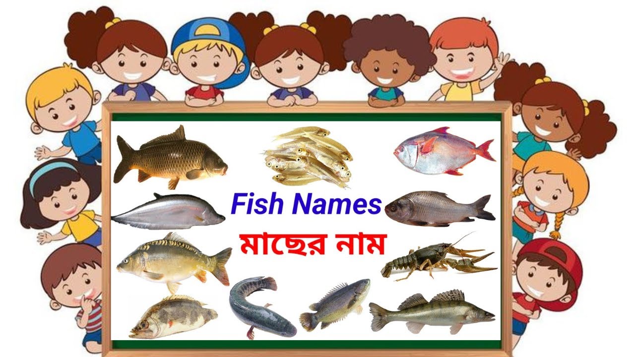 ইংরেজিতে দেশি মাছের নাম - Fish Name in English to Bangla - Bangladeshi Fish