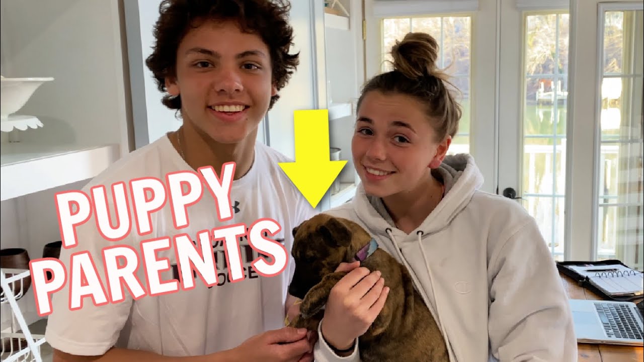 KATIE and  CADEN’s PUPPY Scared Our CAT