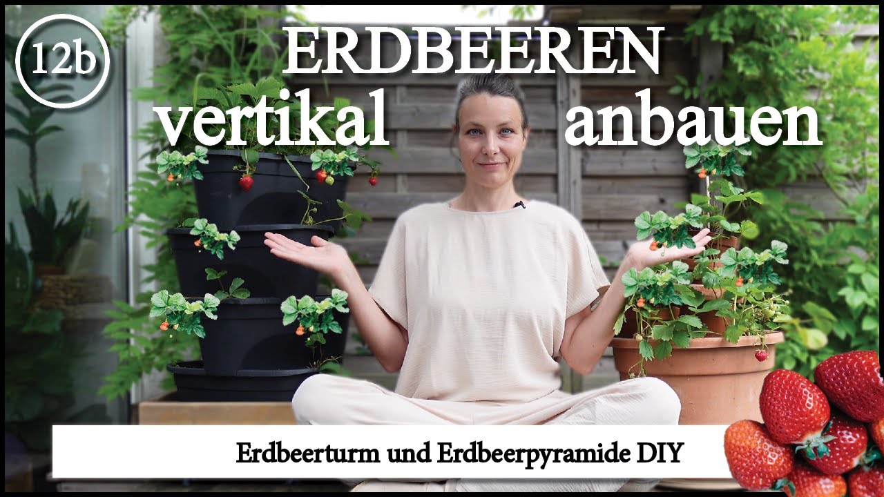 Erdbeer 🍓 Pyramide selber bauen