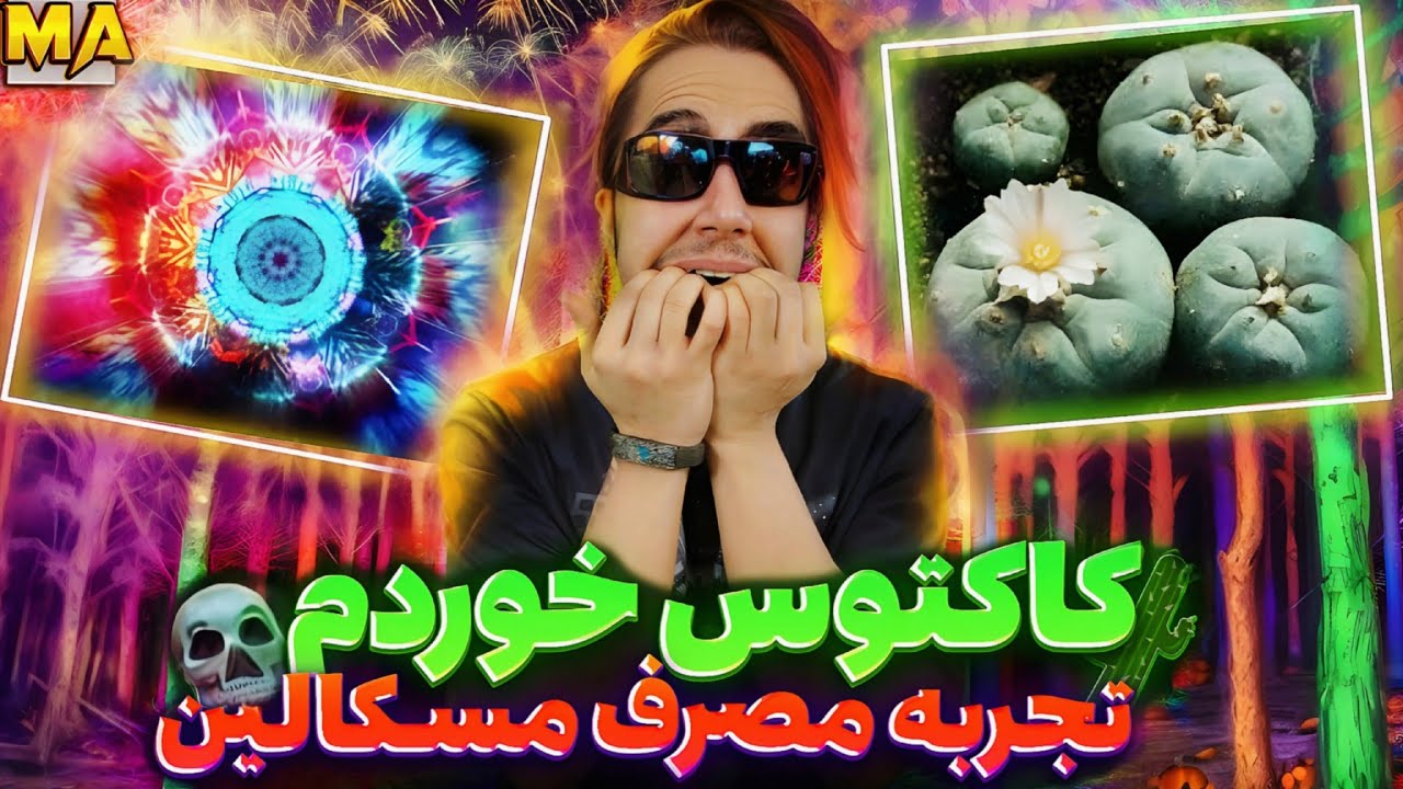 تجربه مصرف روانگردان کاکتوس (مسکالین)🌵👹