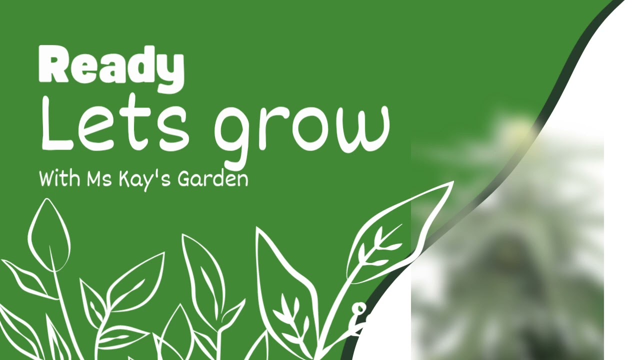 Ms Kay's Garden #myacgrow