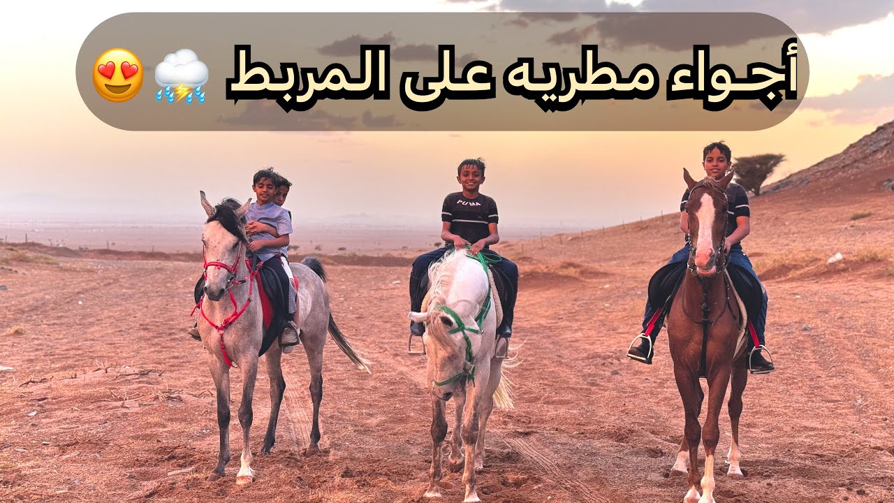 استمتعنا جدا بالأجواء المطريه على المربط 😍⛈️♥️