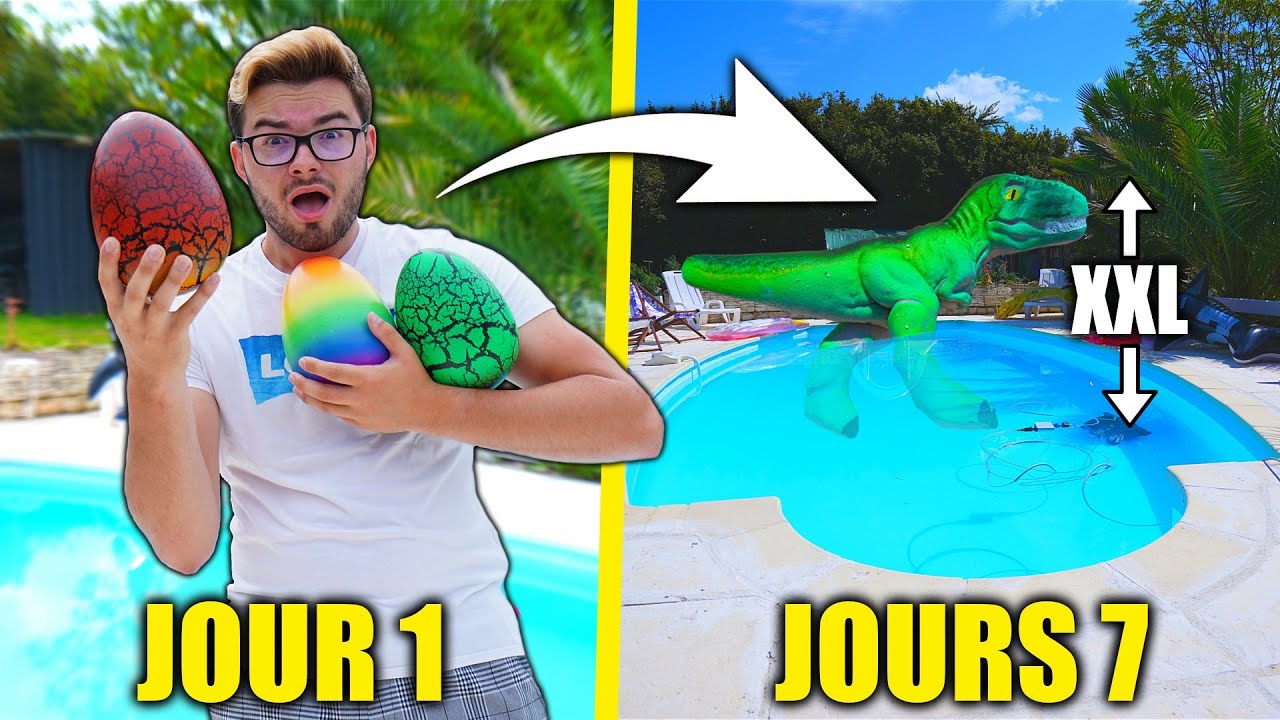 FAIRE POUSSER DES OEUFS XXL DE DINOSAURE DANS MA PISCINE !