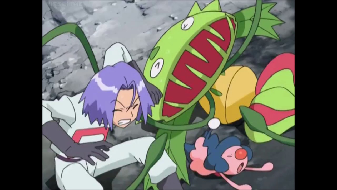 Yanmega And Seviper Saves James