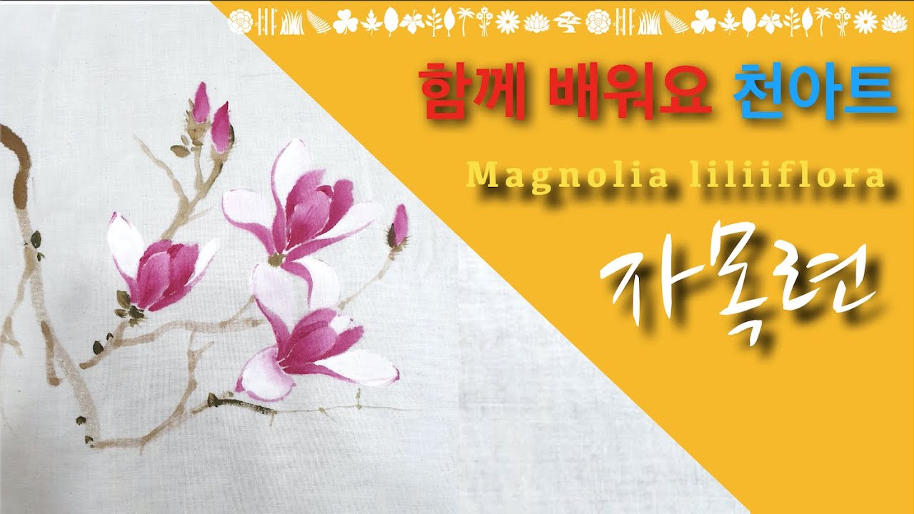 [초미아트] 천아트 강의 : 자목련 / Magnolia liliiflora [Lecture]