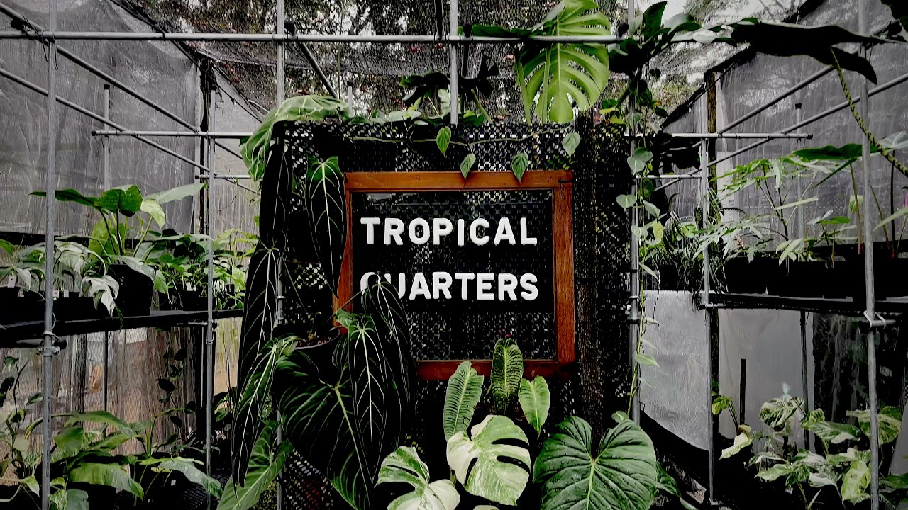 Rare and Exotic Plants In Seletar, Singapore