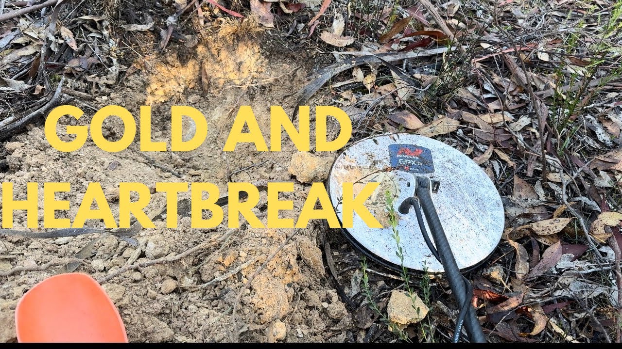 GPX 6000 GOLD found , deep targets and heartbreak
