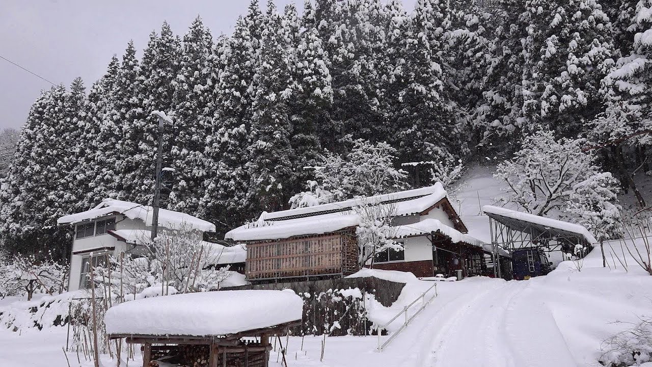 豪雪と運搬車入手と冬の野原
