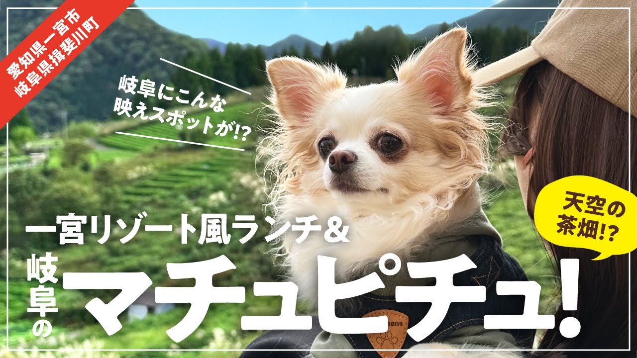 【犬とおでかけ】一宮リゾート風お洒落ランチと岐阜のマチュピチュへ!(一宮市･岐阜県)