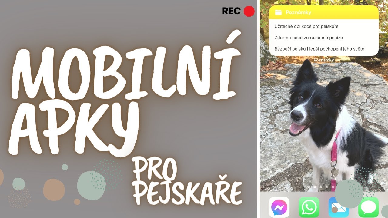 MOBILNÍ APLIKACE PRO PEJSKAŘE - life-saving tips
