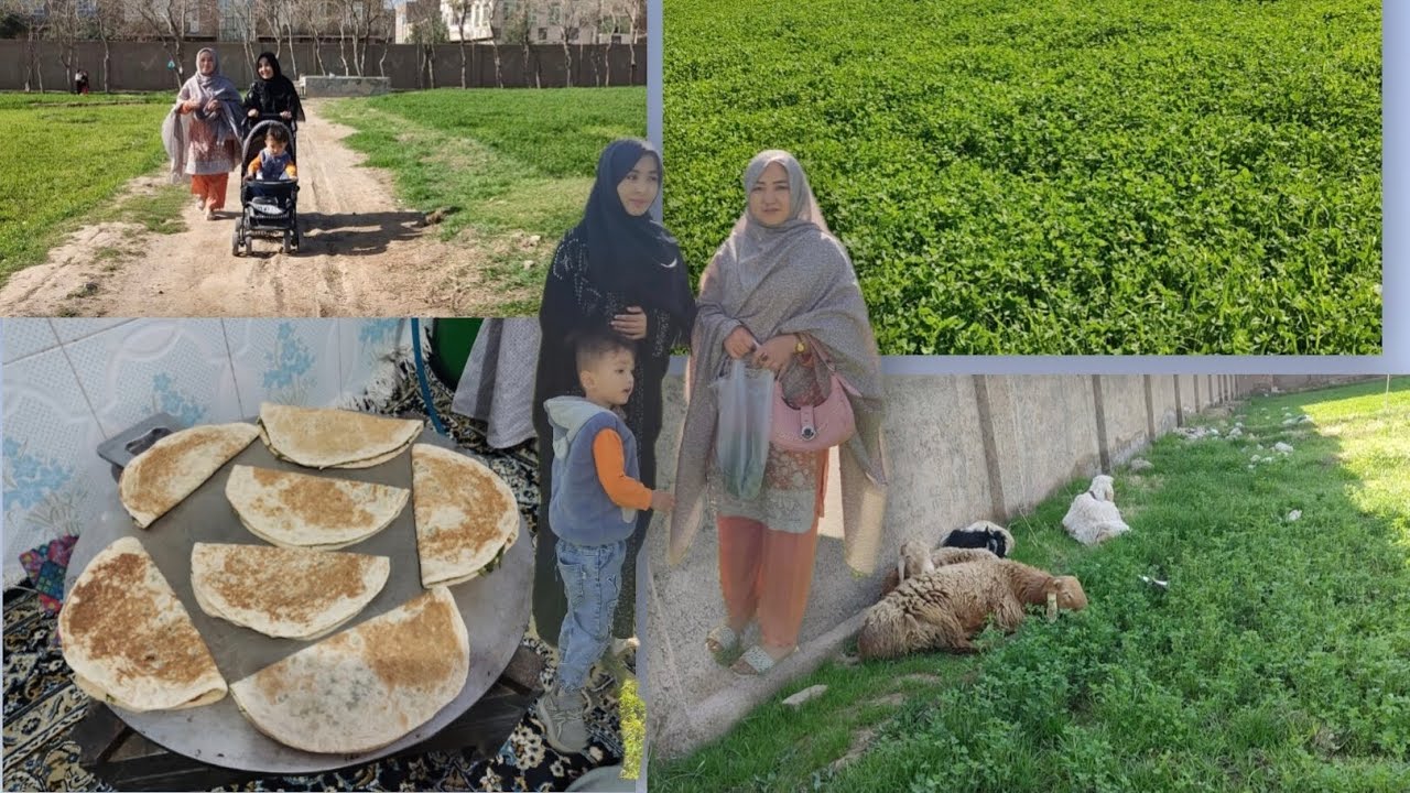 دوستان عزیزم بفرماید پیرکی خوش مزه پیرکی شبتل است دوستان عزیزم 🤤🤤☺️👍👍