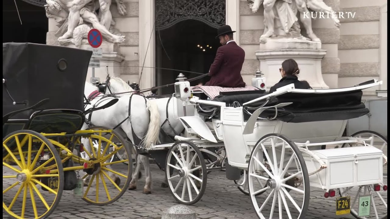 Wiener Fiaker: Tradition oder Tierleid?