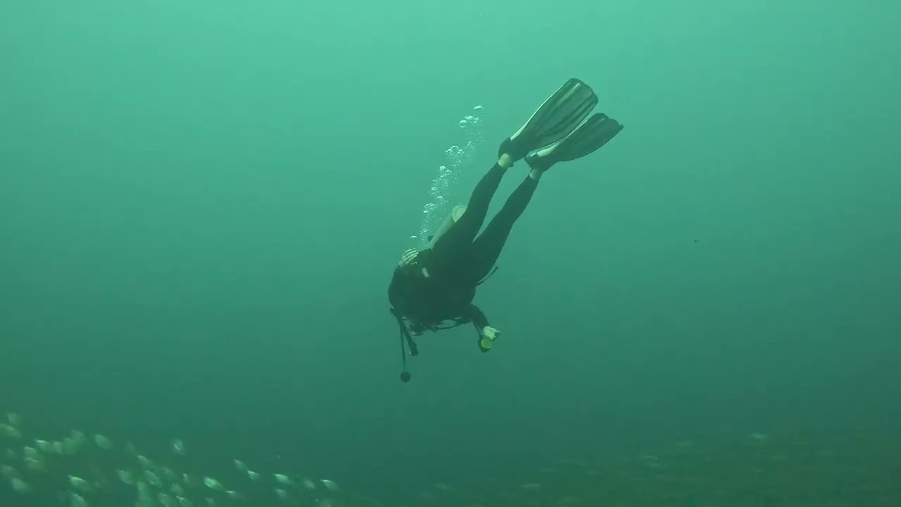 2026.02.24 03 FUN BEACH DIVESTORY MOALBOAL