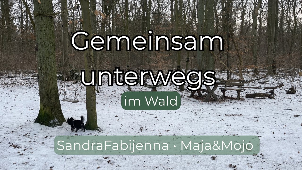 Aufmerksamkeit, Grenzen & echte Verbindung