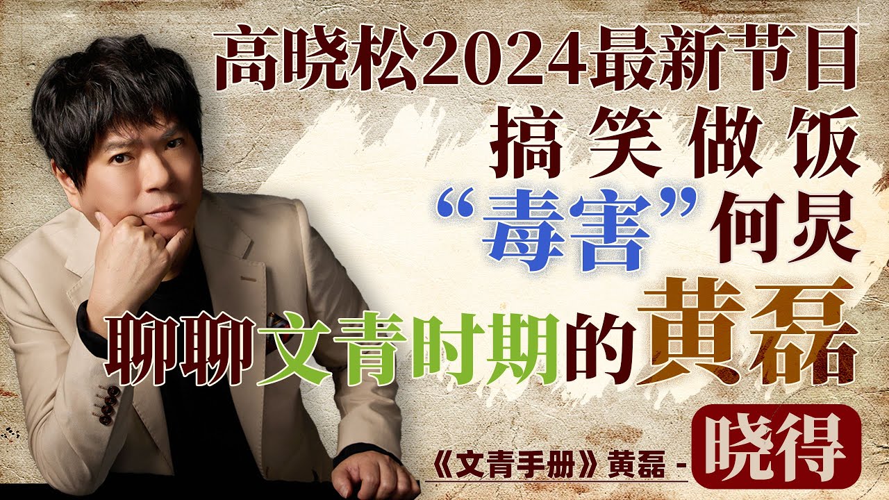 高晓松往期播客《文青手册》：聊聊文青时期的黄磊，从文艺到商业明星｜高晓松｜2024｜矮大紧｜文青手册｜黄磊｜明星｜