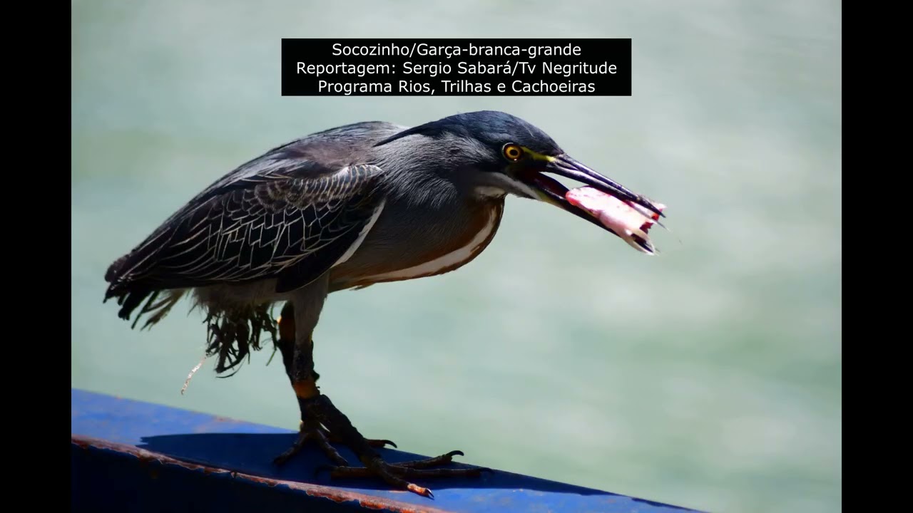 Programa Rios, Trilhas e Cachoeiras 42