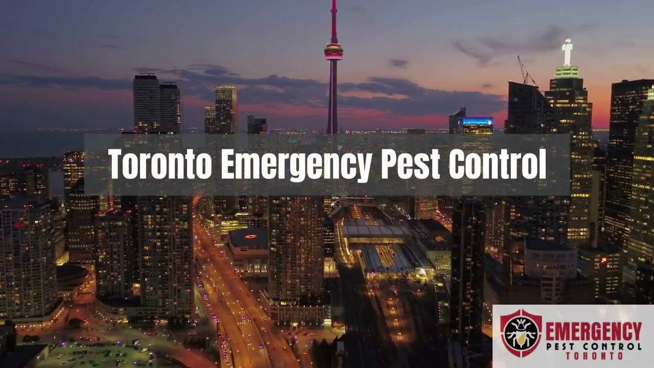 Toronto Emergency Pest Control