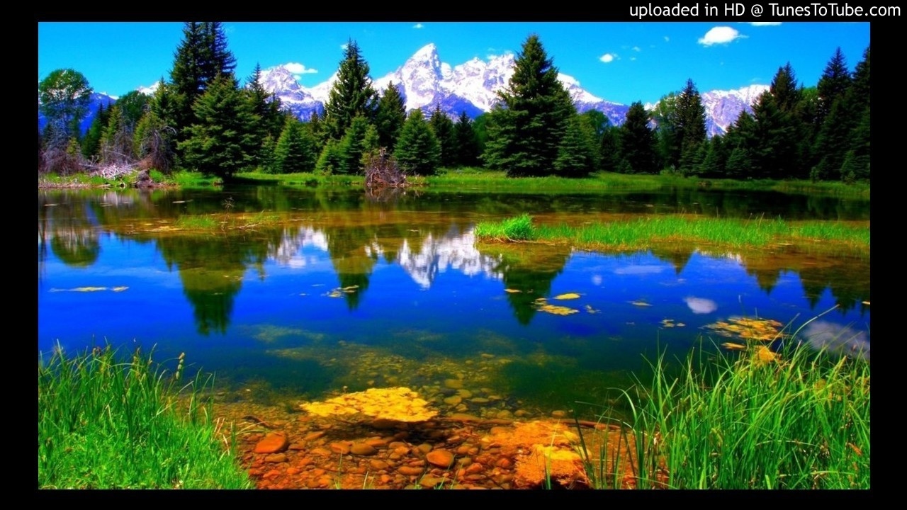 Odricanje od mu&scaron;rika povlači za sobom takođe odricanje od njihovih 'ibadeta