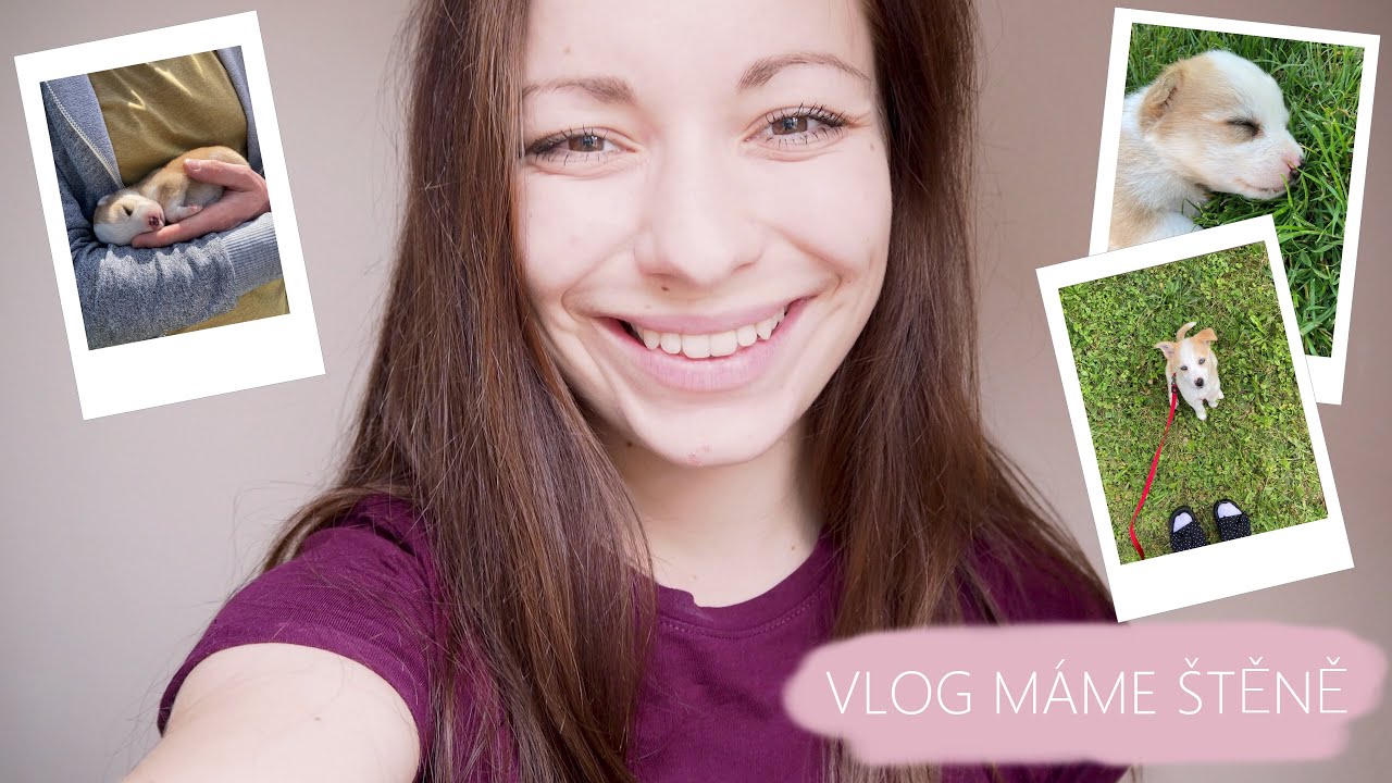 ♥ VLOG MÁME ŠTĚNĚ  - NOVÝ ČLEN RODINY ♥