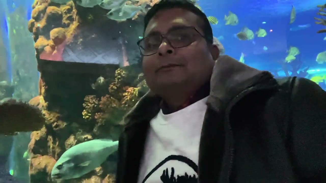 Aquarium at Boardwalk, Branson Missouri. #highlights #aquarium 