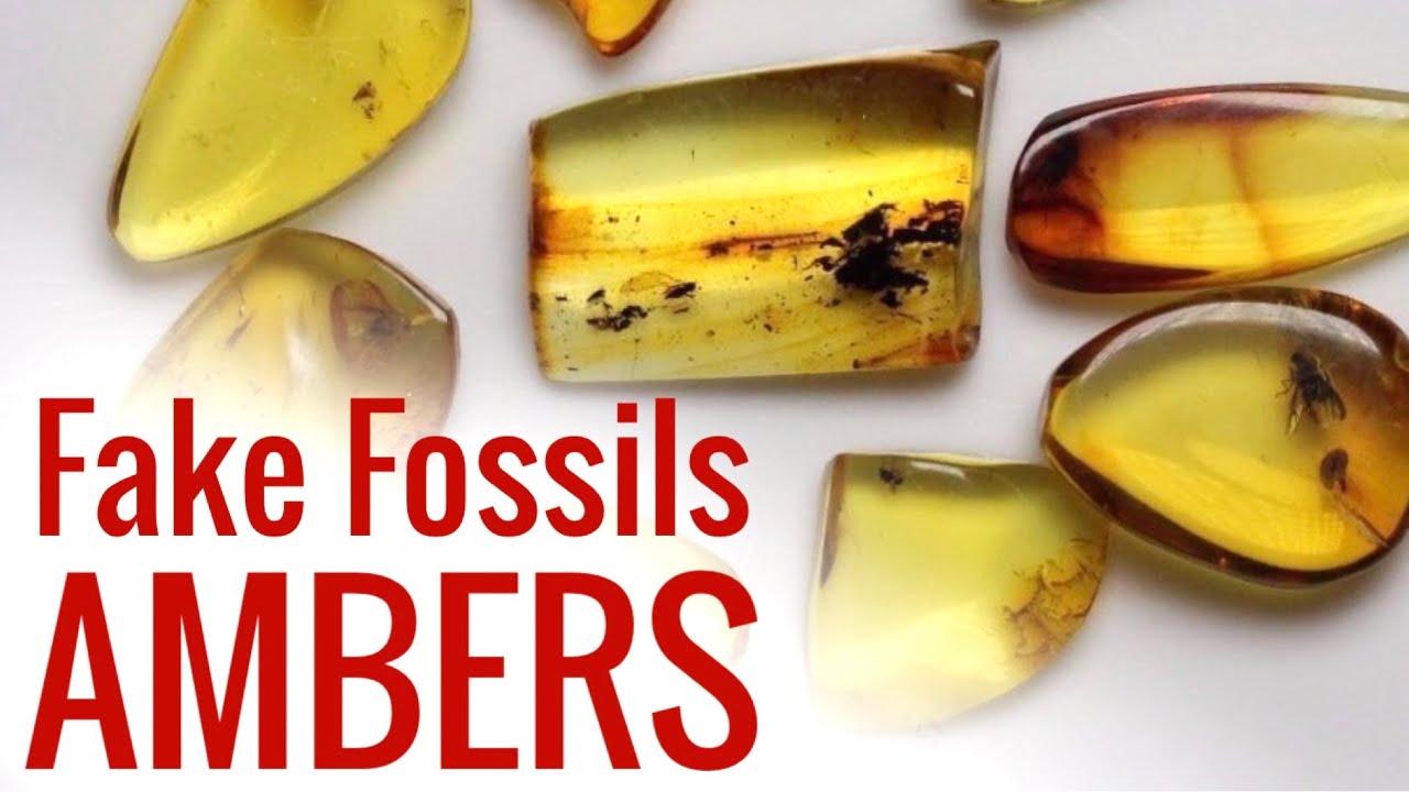 Riconoscere Fossili Falsi - AMBRA