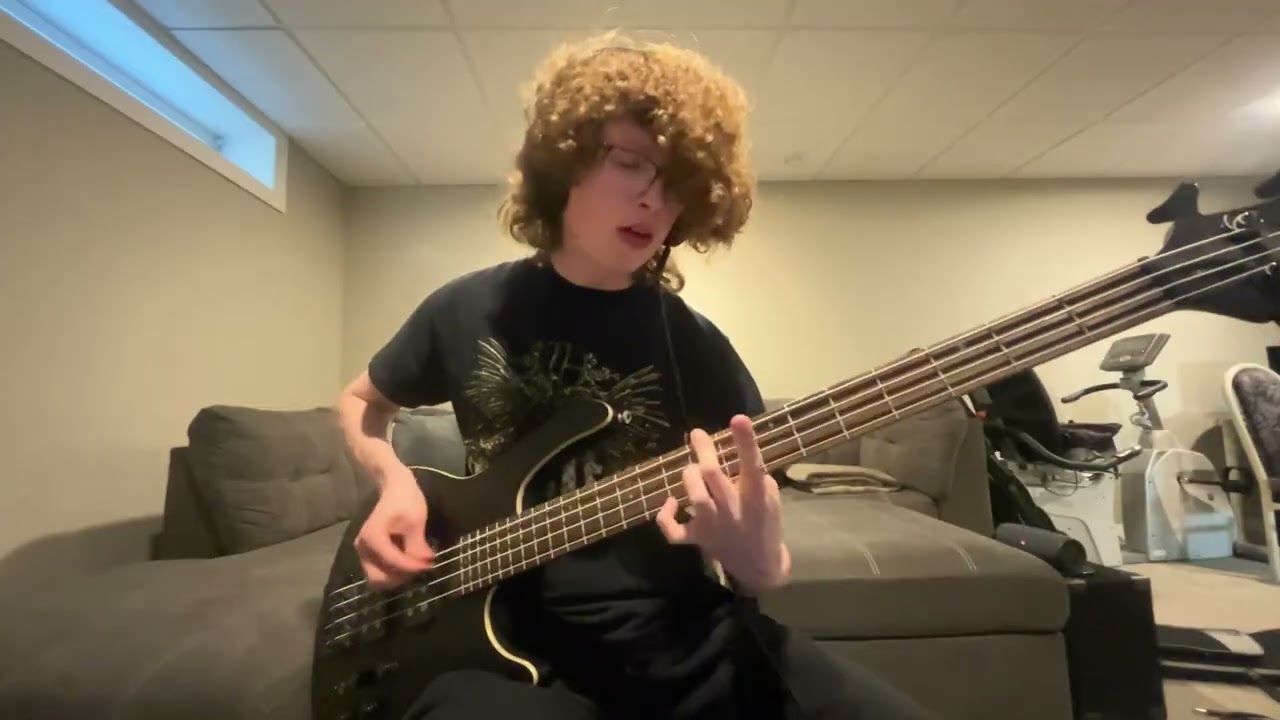 Hysteria Bass Cover