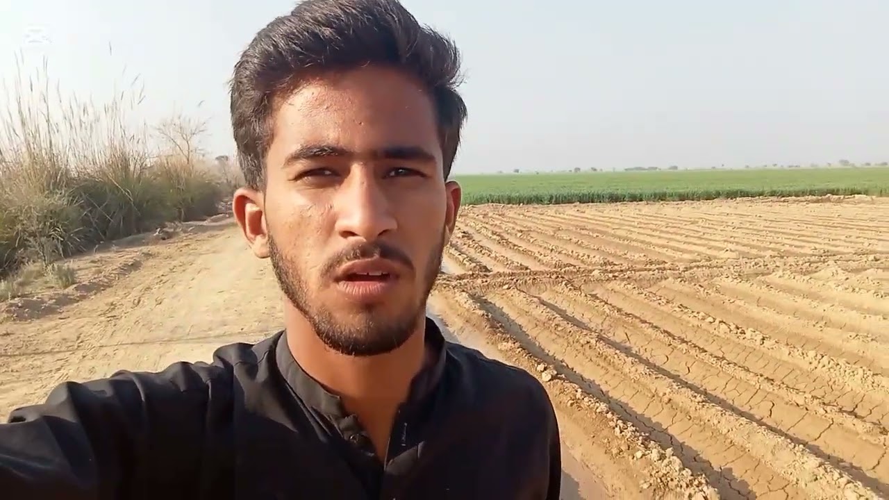 Aj bhot peyara mosam ❤️ gandom ka peyara mosom ♥️ Waseem Balochistani 1 vlogs ♥️
