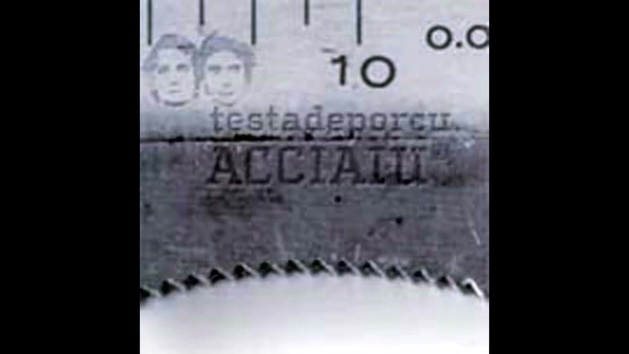 Testadeporcu. Zwolle