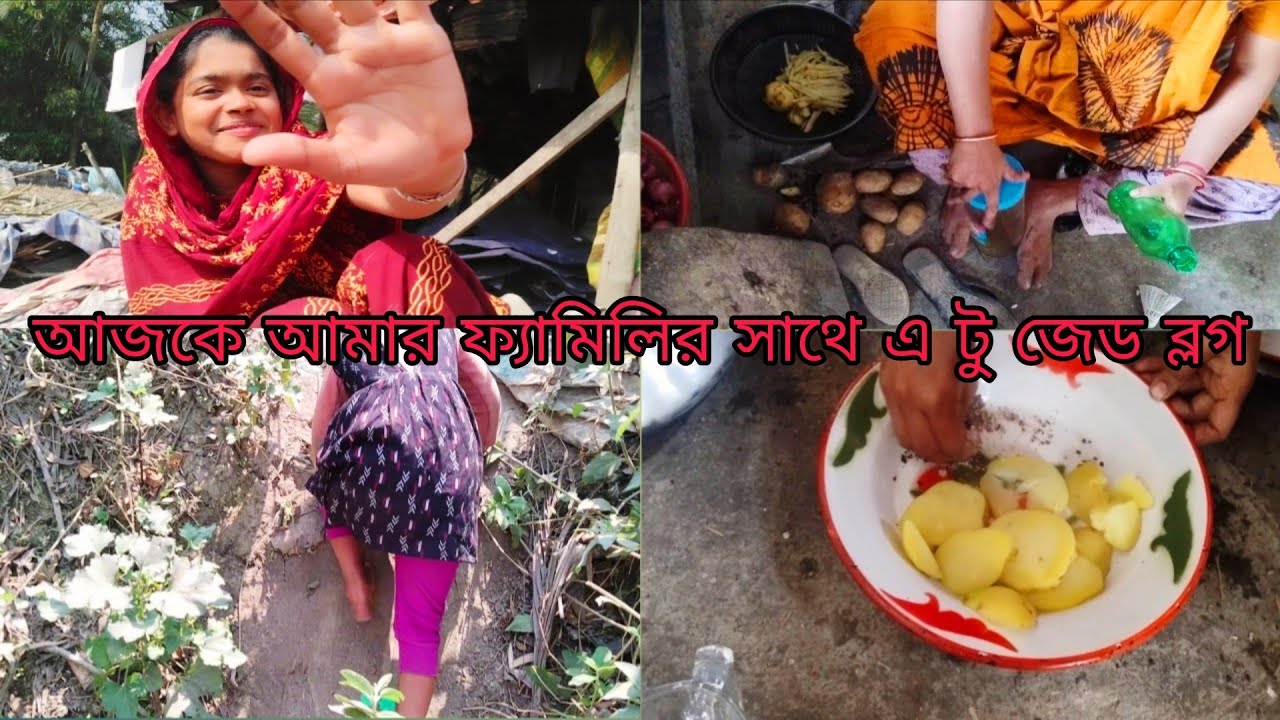 my first vlog family মাই ফাস্ট ব্লগ ফ্যামিলি এ টু জেড ব্লগ a to z vlog