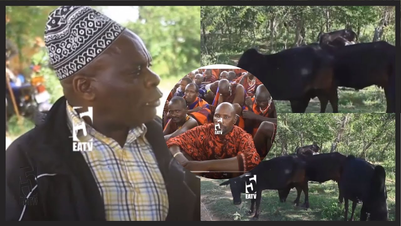 SERIKALI YA KIJIJI YAFUKUZA WANANCHI 270 KITETO, MIFUGO 7000 KUONDOKA KIJIJINI