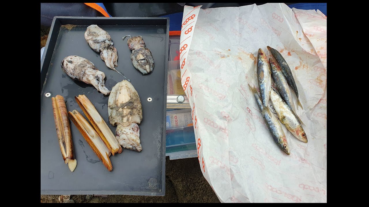 Surfcasting GBTLiguria - Le Esche Naturali Autunnali - Alla ricerca dei Predatori