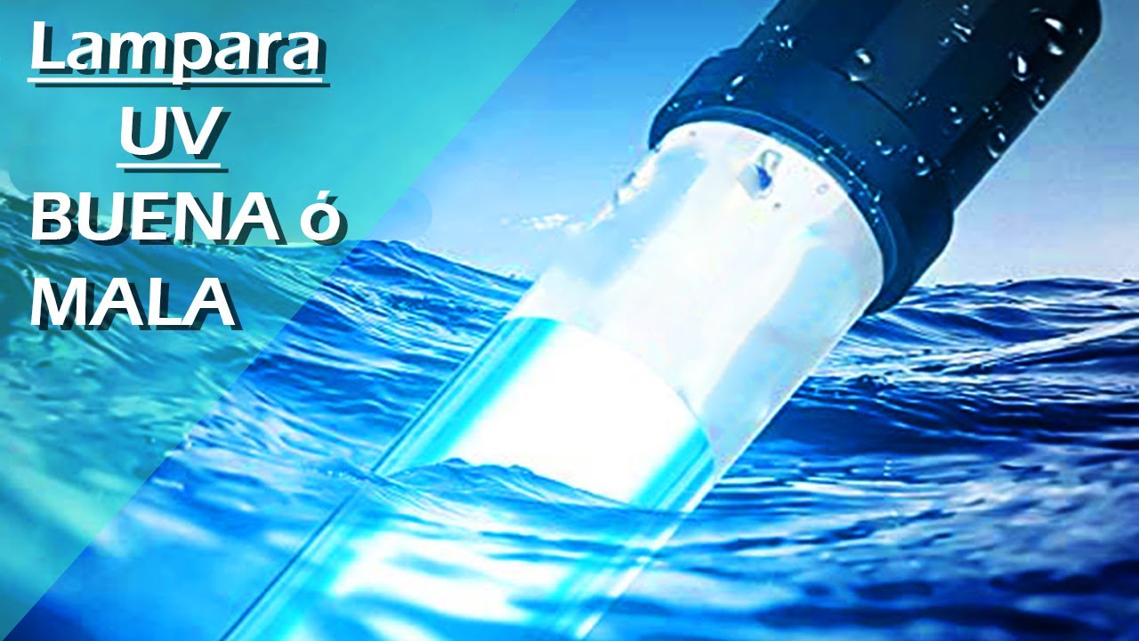 77🔦- ¿CUANDO UTILIZAR Filtro / Lampara UV (Ultravioleta) o germicida para Acuario o Estanque?