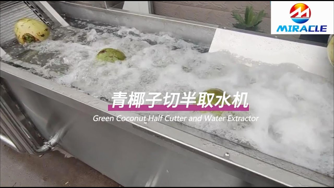 Coconut Water Extractor Automatic Young Coconut Cutting Machine for Fresh Coconut Water!