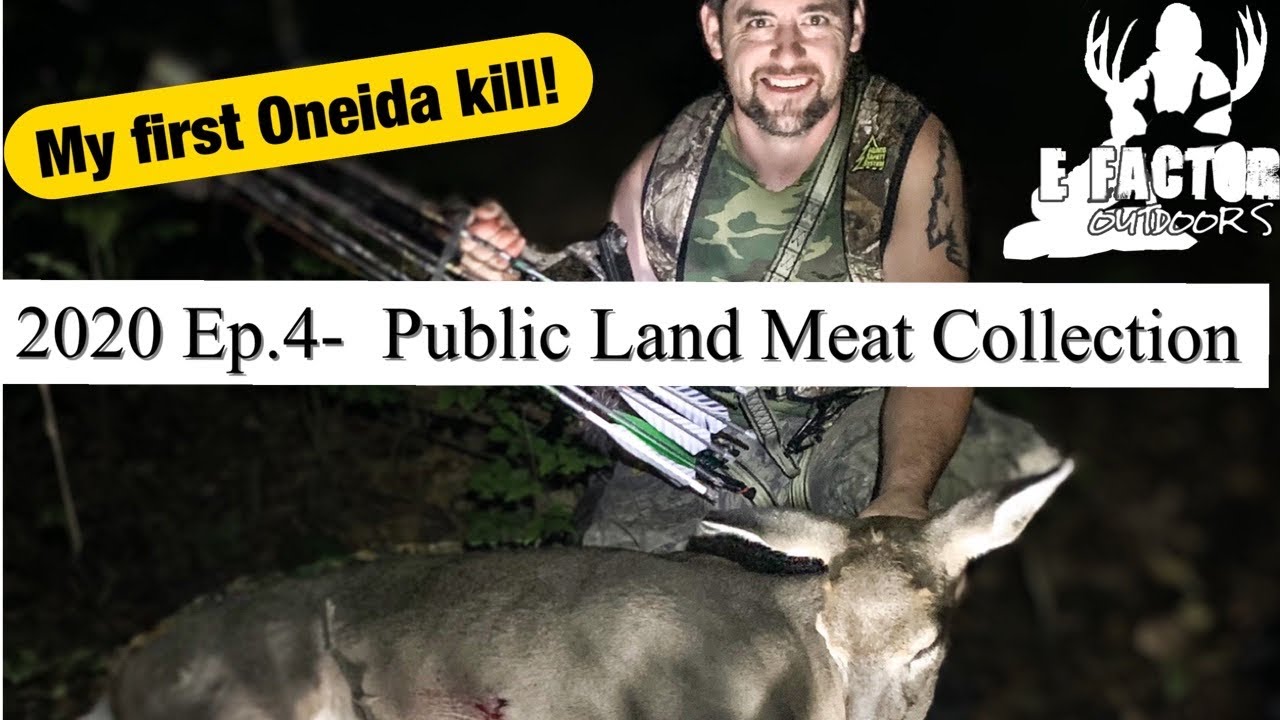Oneida Phoenix (no sights) Deer Bow Hunting - Wac'em broadheads