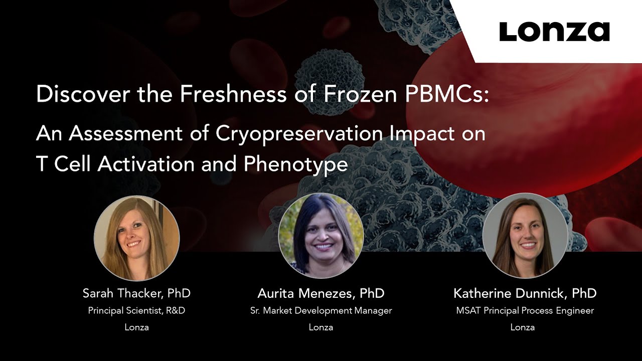 Discover The Freshness of Frozen PBMCs: Cryopreservation's Impact on T Cell Activation and Phenotype