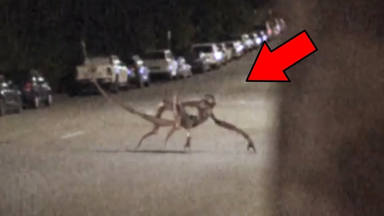 15 أشياء مرعبة و غامضة صورتها الكاميرا بالصدفة ـ 2 !!