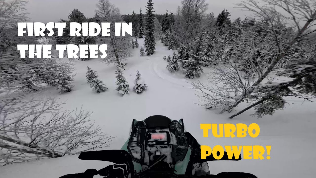 2024 Ski-Doo Freeride 146