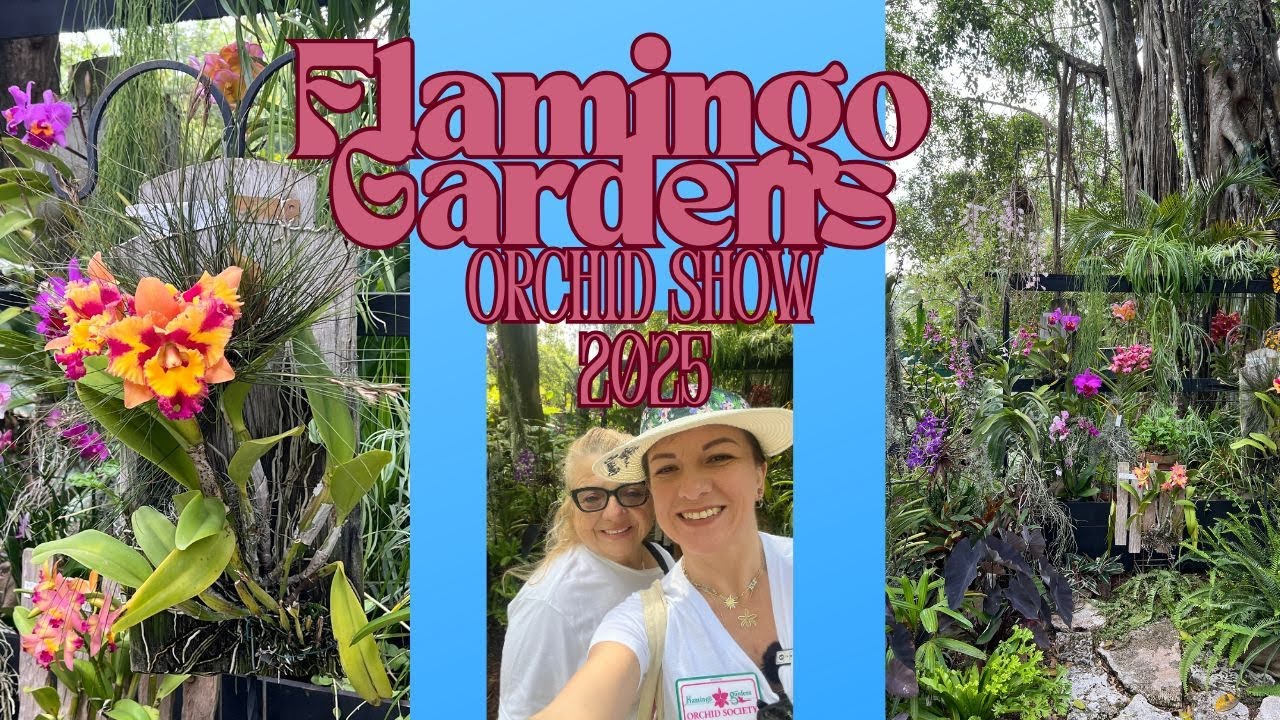 You’ve Never Seen Orchids Like This! 🌸 Flamingo Gardens 2025