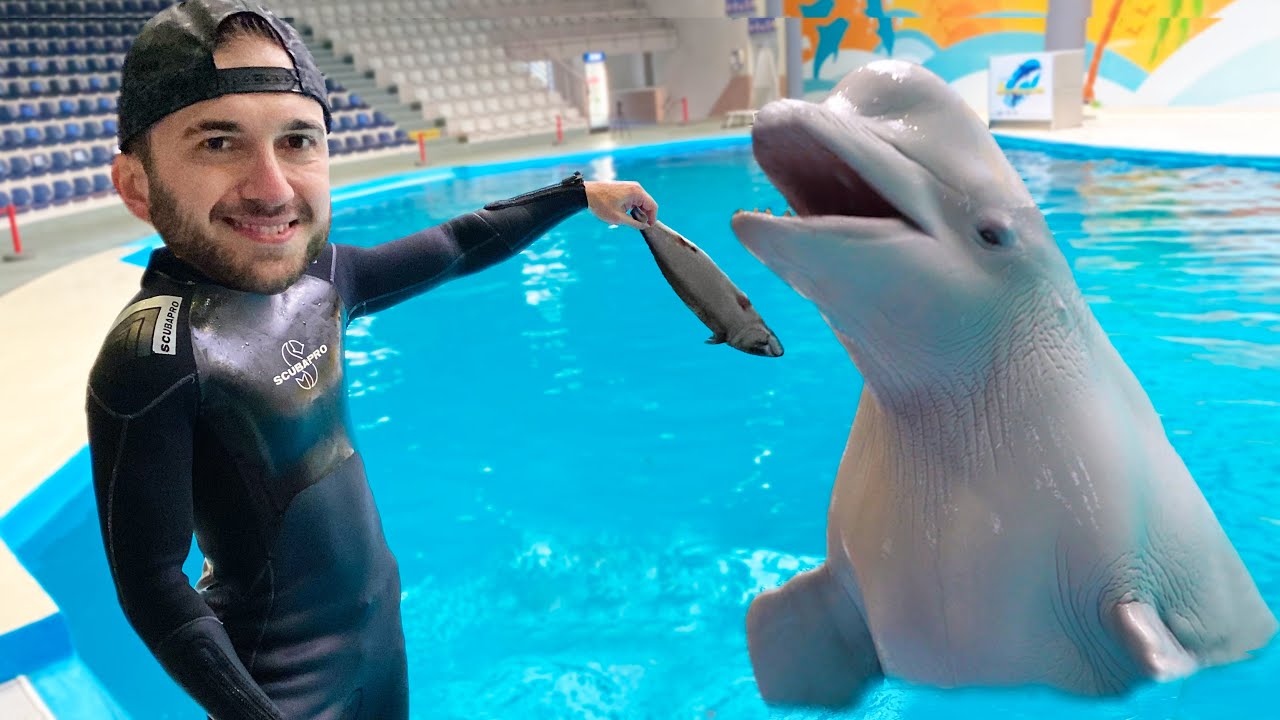 DEV BEYAZ BALİNA BAKICILIĞI YAPTIM 🐋
