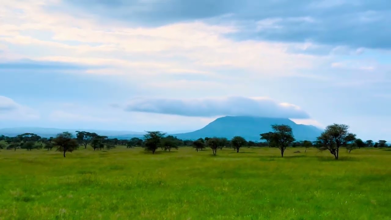 Central Serengeti in the Seronera Area #safari #tanzania #africa