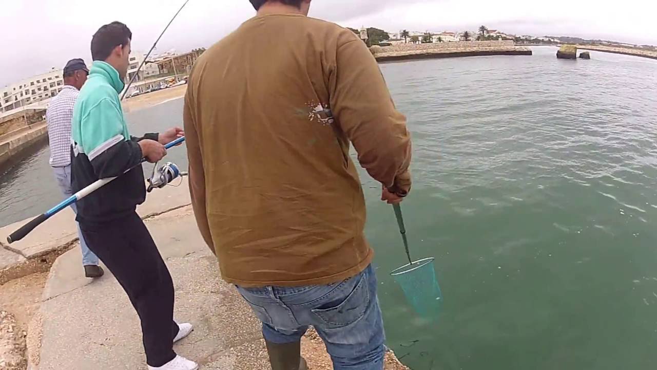 luis salvador dourada de 5kg