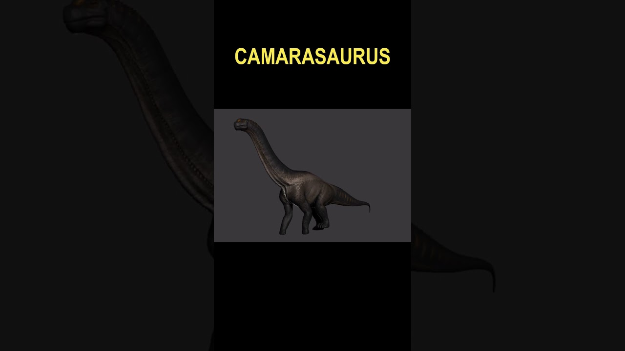 Camarasaurus Animation Is Awesome! | The Isle Evrima
