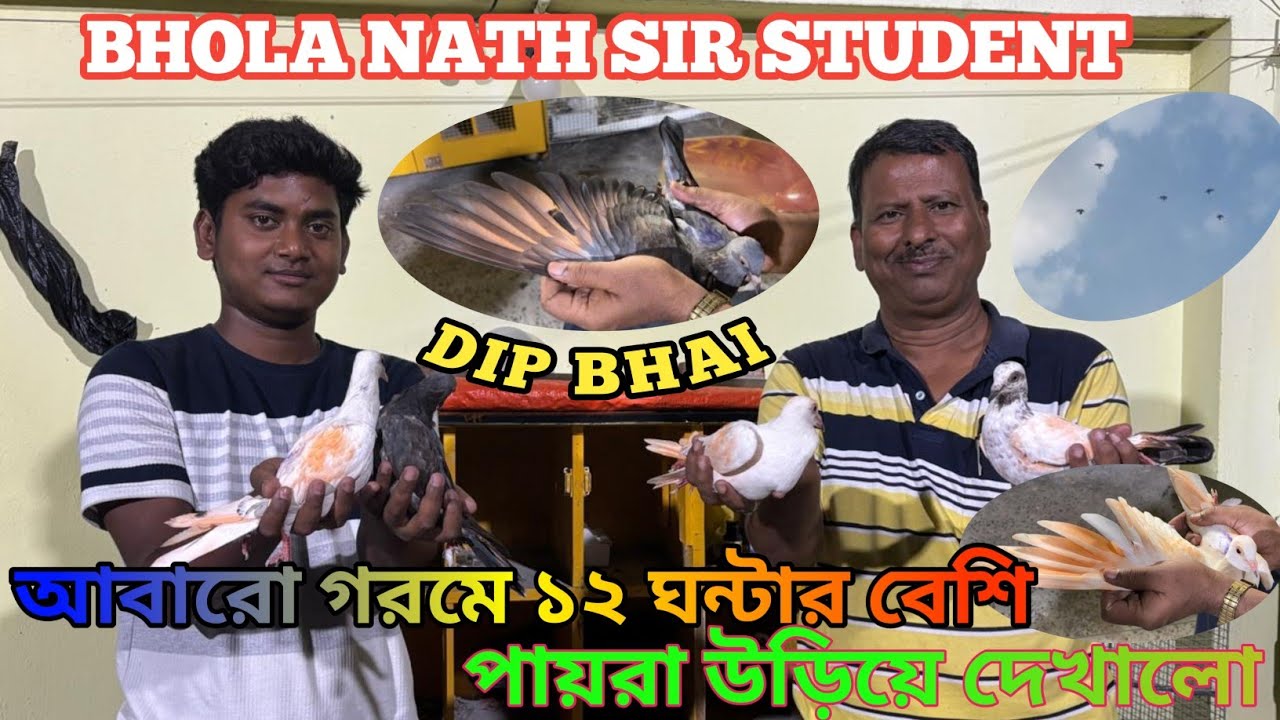 BHOLA NATH SIR STUDENT DIP BHAI KI PIGEON FLYING COMPITITION   #soumanpigeonlover
