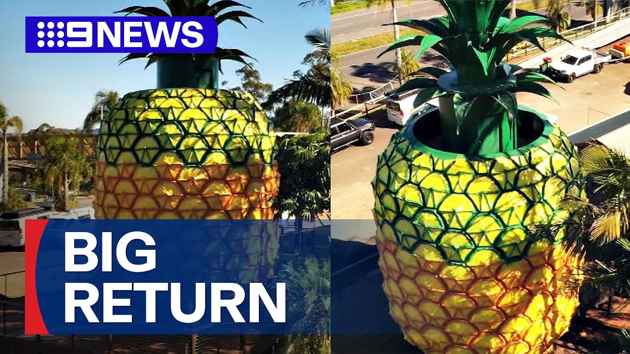 Big Pineapple ready to open after renovation | 9 News Australia