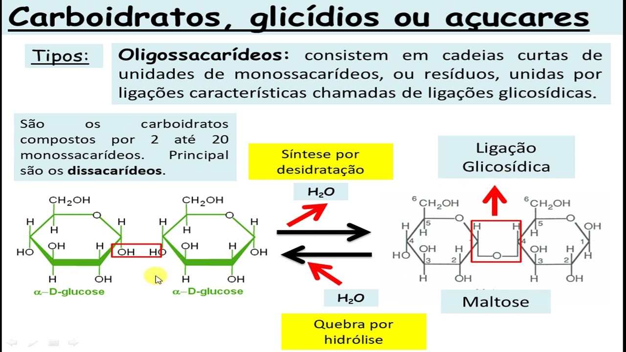 Carboidratos e ácidos nucleicos